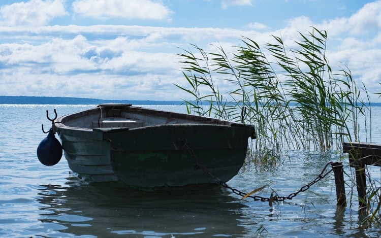 Négyszáz milliós élőhely-védelmi program indult a Balatonnál